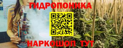 ГАЛЛЮЦИНОГЕННЫЕ ГРИБЫ Кинель